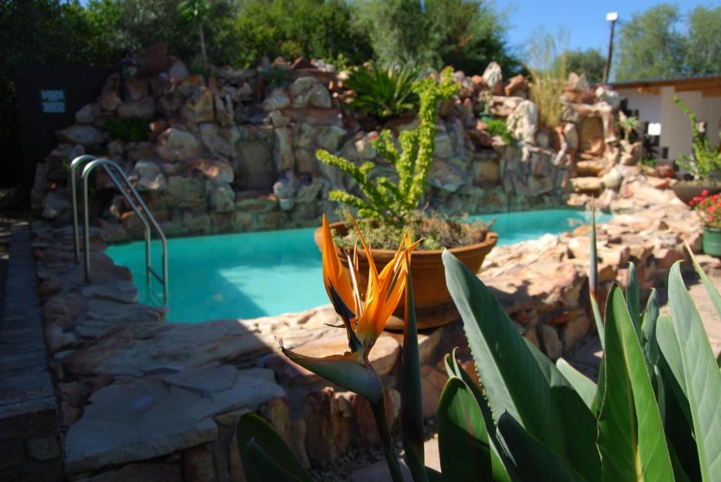 Beit Shalom Before Known As Best Little Guesthouse Oudtshoorn Exterior photo